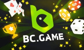 Understanding BC Game Casino Payment Options